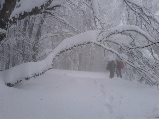 在雪中的西西里岛 